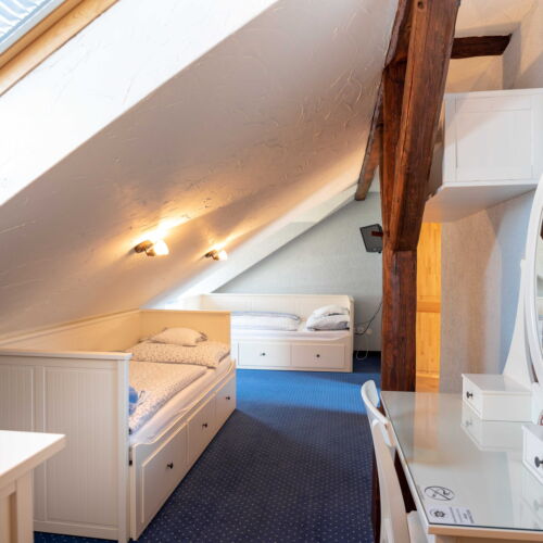 Standard Pokoj se sprchou pro 2 os.