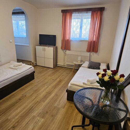 Pokoj se sprchou  pro 3 os.