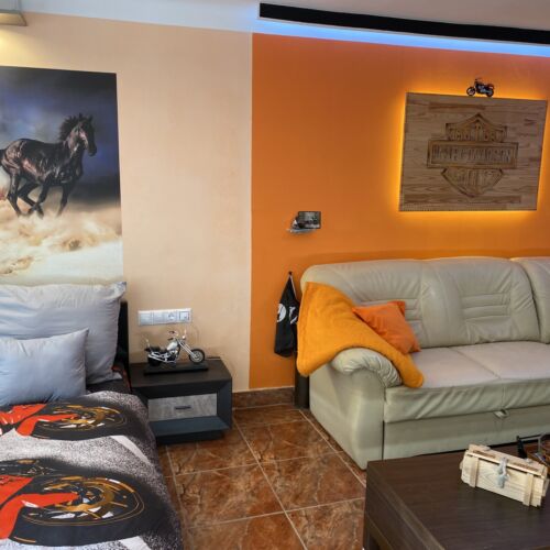 Tourist Pool Side 1-Room Apartment for 3 Persons (extra beds available)