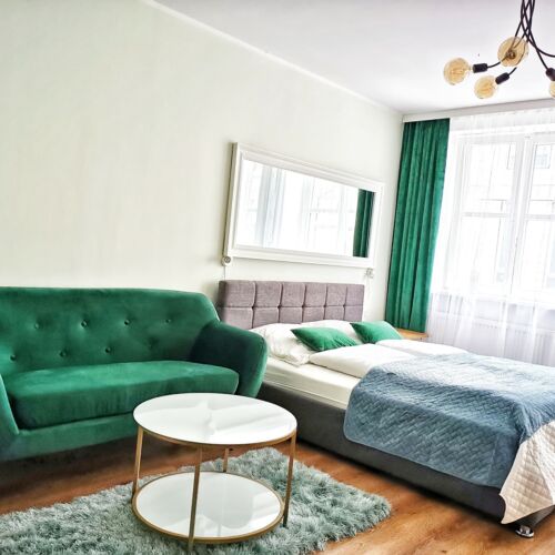 Apartament 2-osobowy Studio z 1 pomieszczeniem sypialnianym