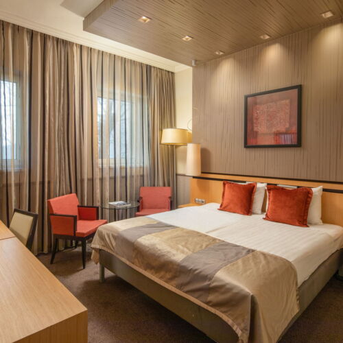 Camera dubla classic cu vedere spre curte