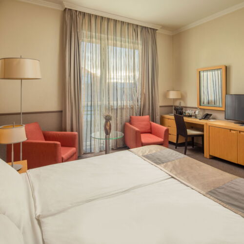 Camera dubla deluxe cu balcon