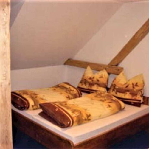 Pokoj se sprchou  s manželskou postelí