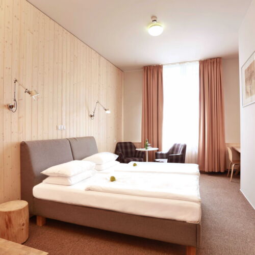 Superior Pokoj se sprchou pro 2 os.