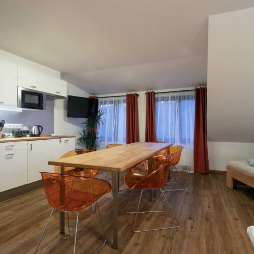 Apartman se sprchou s vlastní kuchyňkou pro 6 os. (s možností přistýlky)