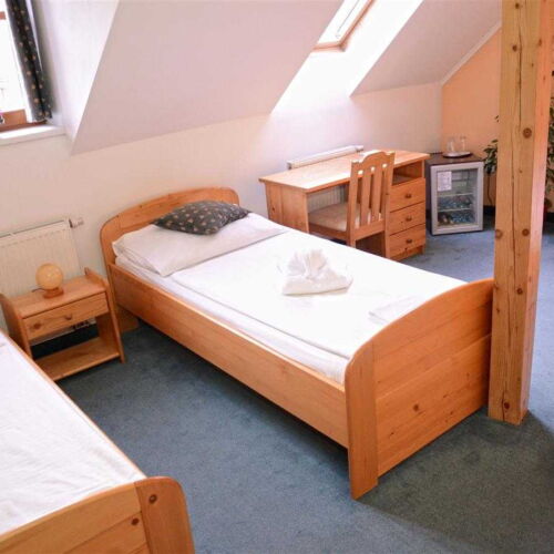 Camera tripla cu duș