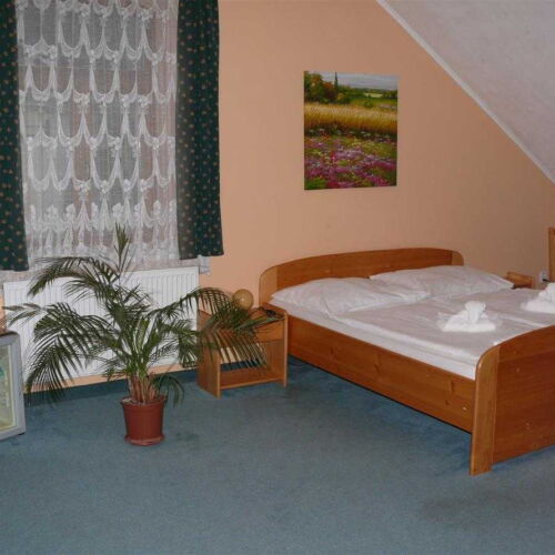 Camera twin cu duș (se poate solicita pat suplimentar)