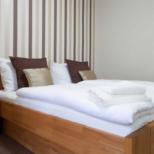 1-Room Apartment for 2 Persons (extra bed available)