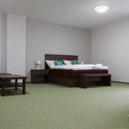 1-Room Apartment for 2 Persons (extra bed available)