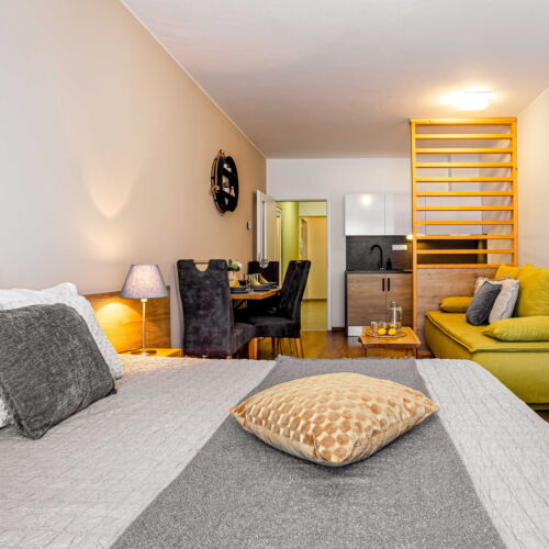 Economy Apartman se sprchou pro 2 os. (s možností přistýlky)