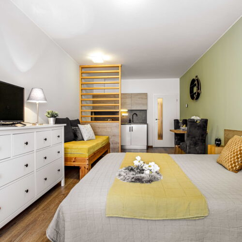 Economy Apartman se sprchou pro 2 os. (s možností přistýlky)