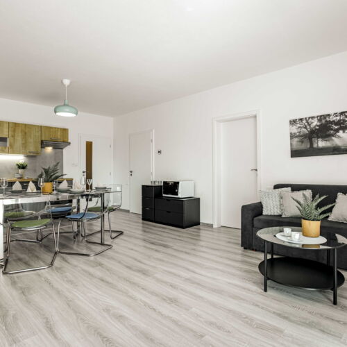 Family Apartman se sprchou pro 4 os. (s možností přistýlky)