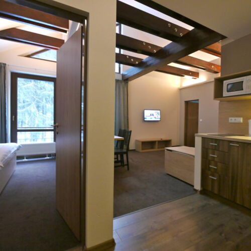 Deluxe Apartment für 6 Personen mit Dusche