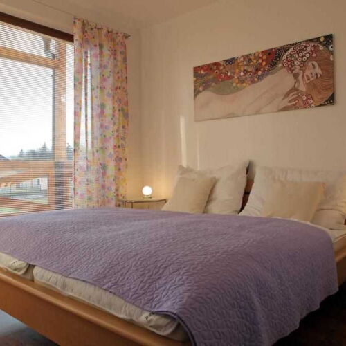 Apartament cu duș cu bucătărie proprie pentru 5 pers.