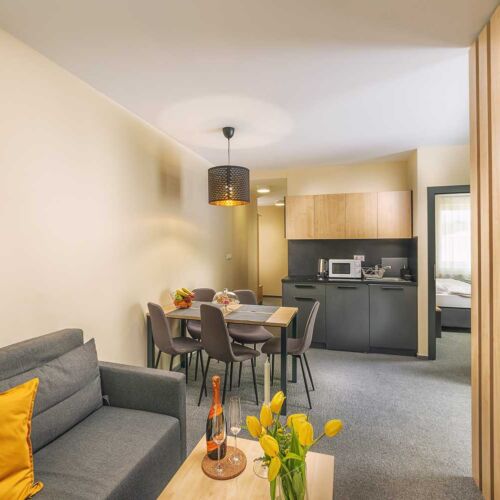 Pokoj se sprchou s vlastní kuchyňkou pro 4 os. (s možností přistýlky)