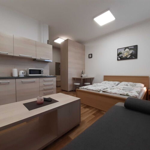 Apartament cu duș cu chicinetă proprie pentru 2 pers. (se poate solicita pat suplimentar)