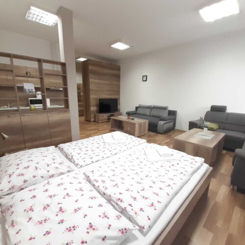 Apartament pentru 2 pers. (se poate solicita pat suplimentar)