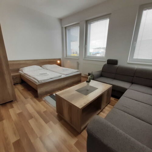 Apartament pentru 2 pers. (se poate solicita pat suplimentar)