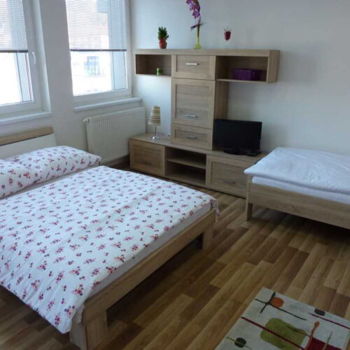 Apartament pentru 3 pers.