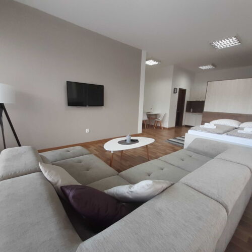 Apartament pentru 2 pers. (se poate solicita pat suplimentar)