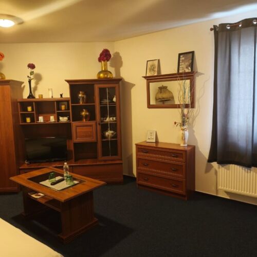 Deluxe Studio Twin Room (extra bed available)
