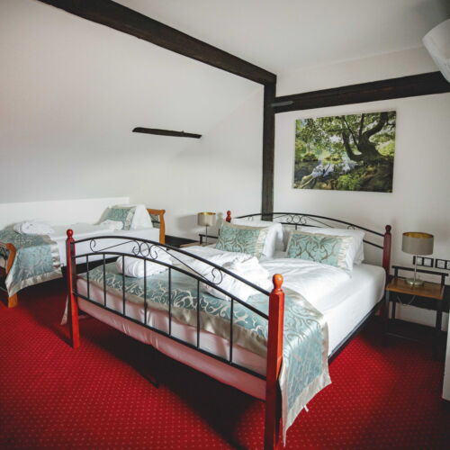 Dormitory (sdílené bydlení) -  rezervovatelné na lůžko Pokoj se sprchou   (s možností přistýlky)