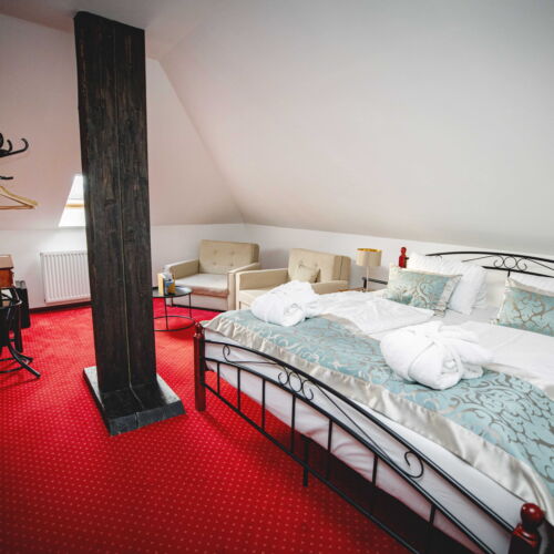 Dormitory (sdílené bydlení) -  rezervovatelné na lůžko Pokoj se sprchou   (s možností přistýlky)