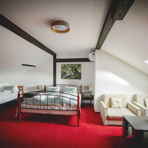 Dormitory (sdílené bydlení) -  rezervovatelné na lůžko Pokoj se sprchou   (s možností přistýlky)