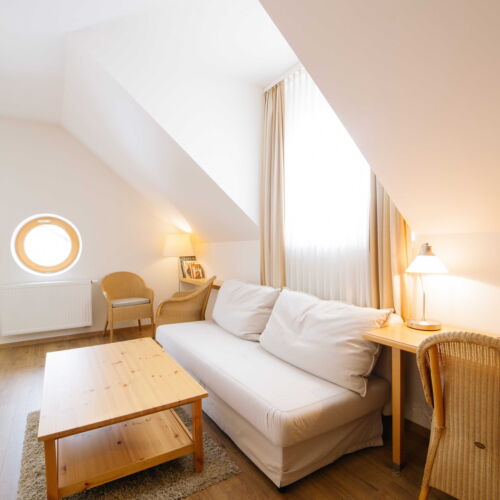 Camera twin cu duș (se poate solicita pat suplimentar)