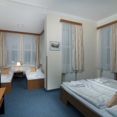 Pokoj se sprchou  pro 3 os.