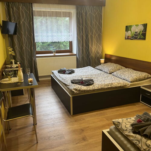 Pokoj pro 3 os. (s možností přistýlky)