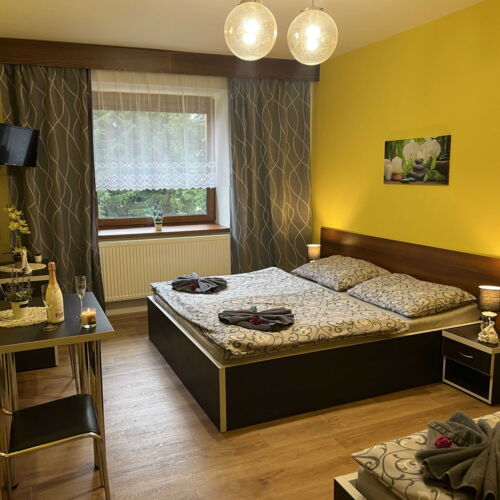 Pokoj pro 3 os. (s možností přistýlky)