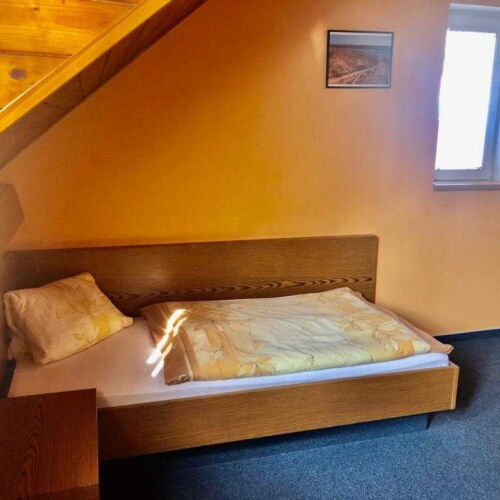 Pokój 1-osobowy Standard z prysznicem