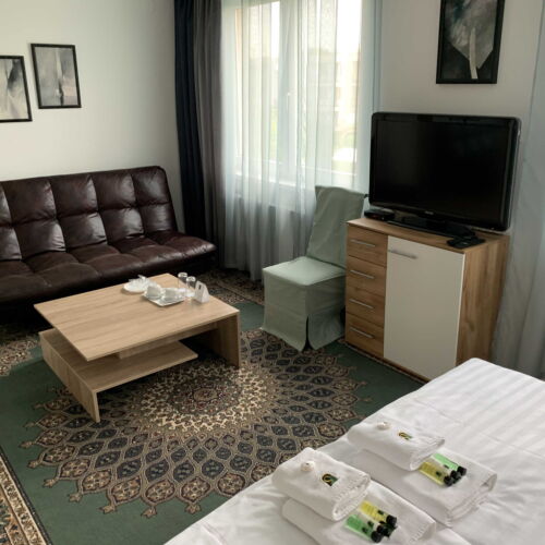 Camera twin (se poate solicita pat suplimentar)