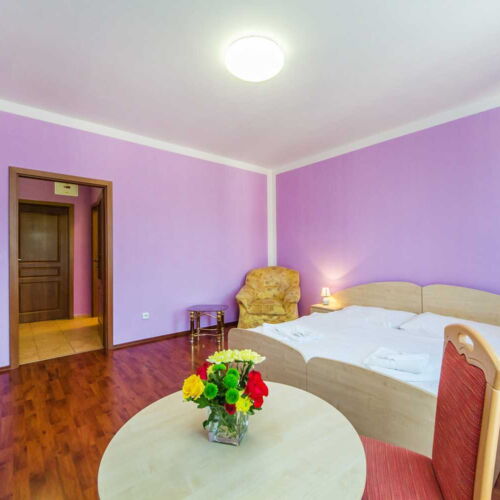 Pokoj se sprchou s terasou pro 2 os.