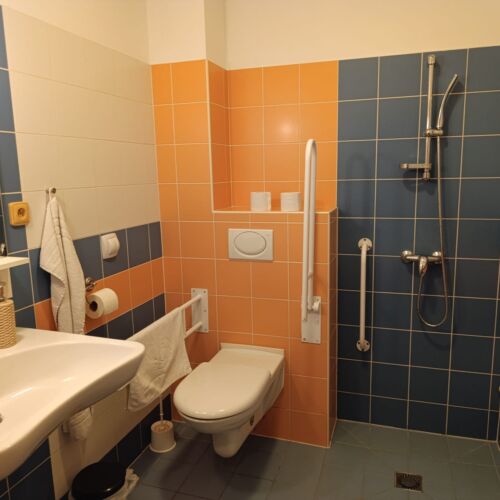 Pokój 2-osobowy udogodnienia dla niepełnosprawnych z prysznicem