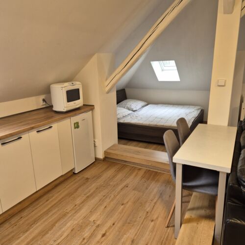 Superior Apartman se sprchou s manželskou postelí s 1 ložnicí (s možností přistýlky)