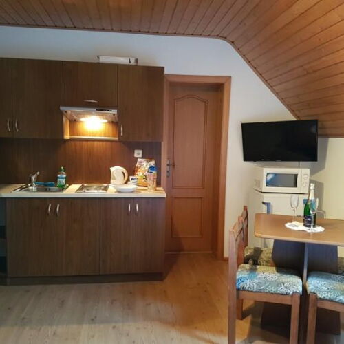 Pokoj s koupelnou s vlastní kuchyňkou pro 4 os.