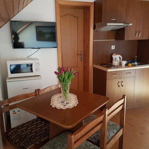 Pokoj se sprchou s vlastní kuchyňkou pro 4 os.