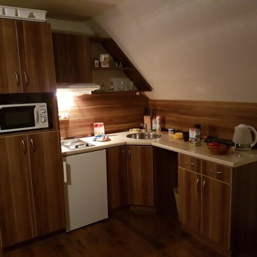 Pokoj s koupelnou s vlastní kuchyňkou pro 3 os. (s možností přistýlky)