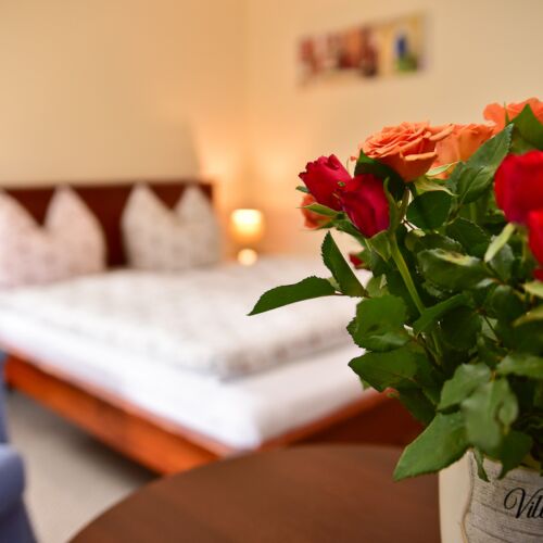 Villa for 21 Persons (extra beds available)