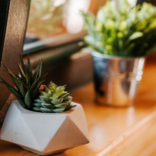 Domek drewniany 8-osobowy cały dom z panoramą