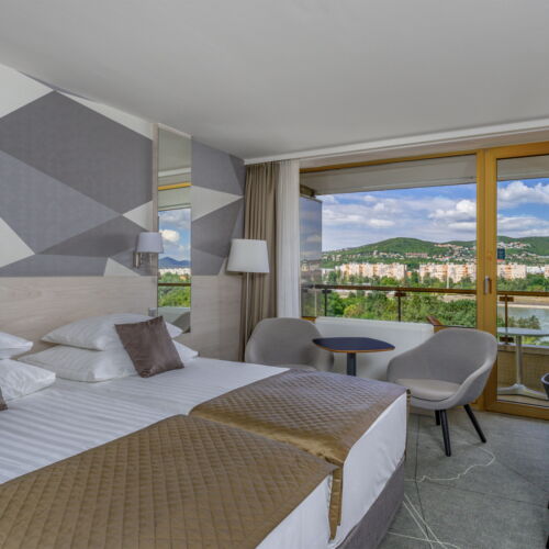 Camera twin cu balcon cu vedere spre parc