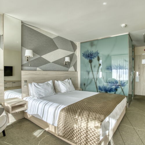 Camera dubla cu balcon cu vedere spre parc