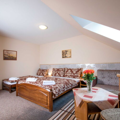 Camera tripla cu duș