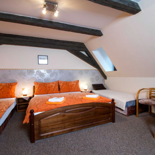 Camera twin cu duș (se poate solicita pat suplimentar)