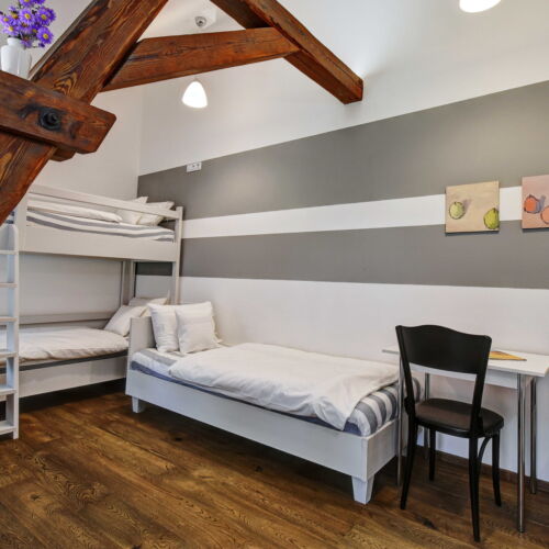 Pokoj se sprchou se společnou kuchyňkou pro 4 os.