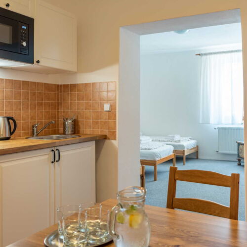 Apartament cu duș cu chicinetă proprie cu 1 camera pentru 3 pers.