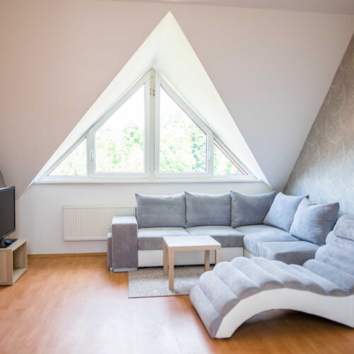 1-Room Apartment for 2 Persons with Shower and Kitchenette (extra beds available)