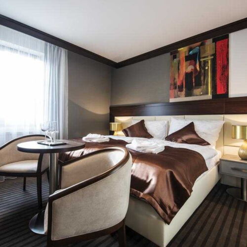 Camera twin classic cu duș